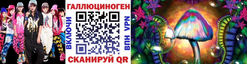 Галлюциногенные грибы Cubensis  Курчалой 