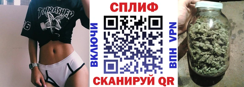 Конопля индика  дарнет шоп  Курчалой 